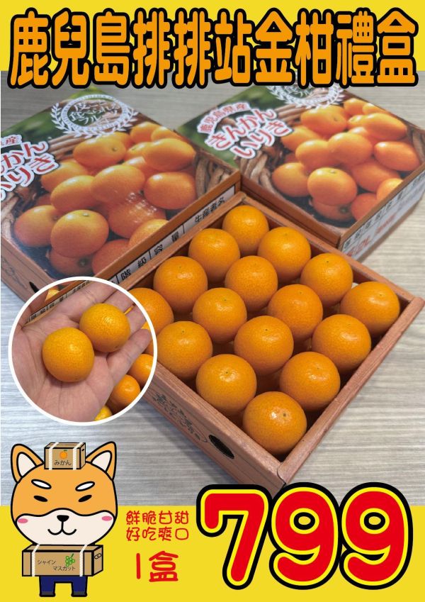 [清甜爽口香氣絕佳]日本鹿兒島排排站金柑禮盒 金桔 日本鹿兒島排排站金柑禮盒