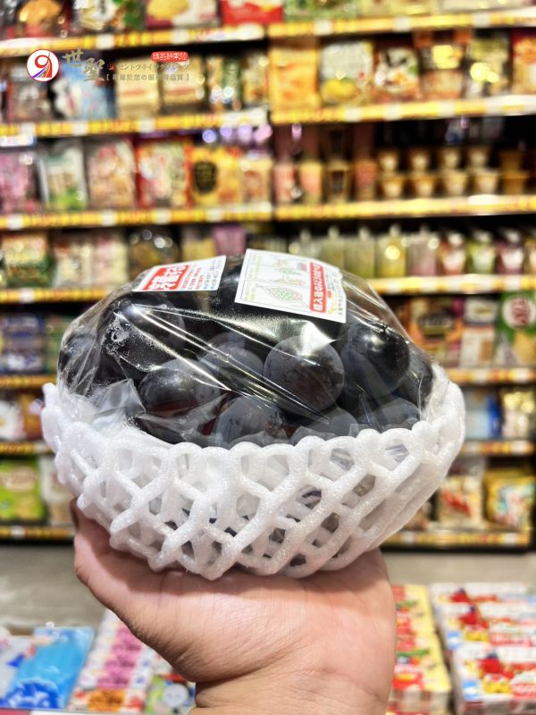 [甘甜不膩醇厚香氣][可加購禮盒]日本福岡溫室博多貓眼葡萄 博多ピオーネ 日本麝香,麝香葡萄,巨峰葡萄,黑葡萄,無籽葡萄,日本葡萄,貓眼葡萄