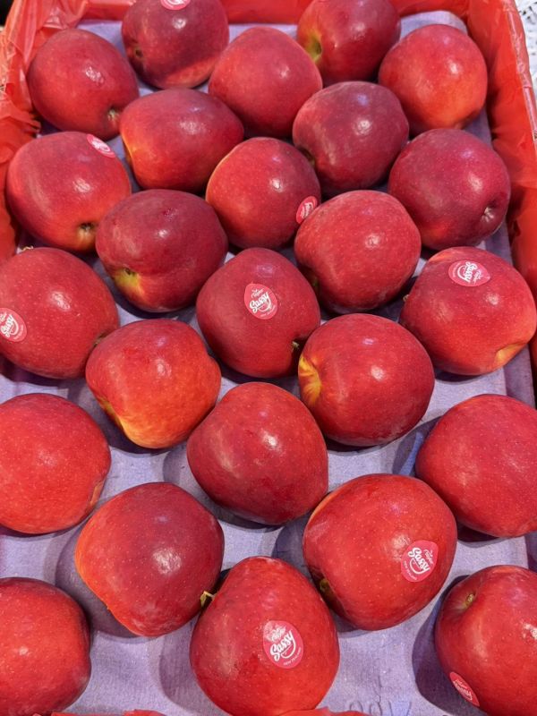 [清爽甘甜好吃]紐西蘭SASSY玫瑰紅蘋果 紐西蘭SASSY玫瑰紅蘋果