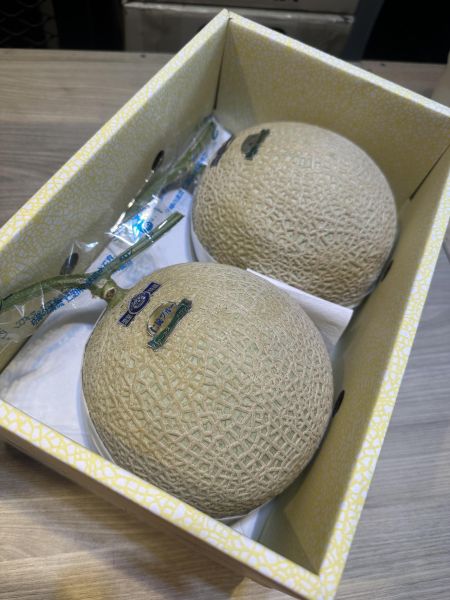 [香甜可口]日本高知仁淀清肉哈密瓜 日本高知仁淀清肉哈密瓜