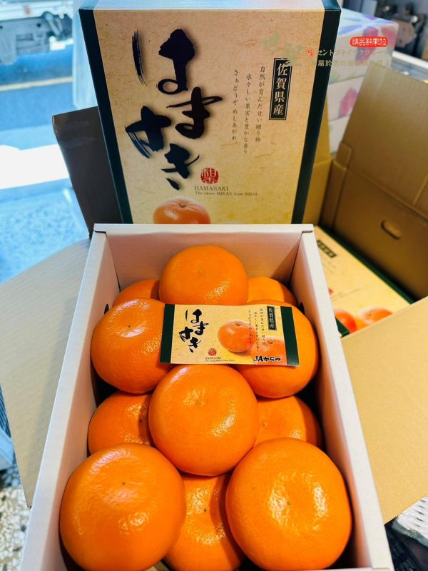 [甘甜香氣十足]日本佐賀濱崎蜜柑 日本佐賀濱崎蜜柑