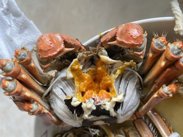 [濃郁鮮美][門市自取優惠]江蘇洪澤湖大閘蟹 江蘇洪澤湖大閘蟹