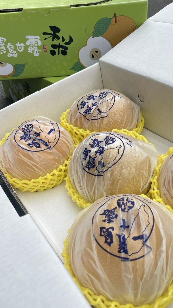 (果肉細緻、口感清脆)臺灣台中東勢寶島甘露梨 梨