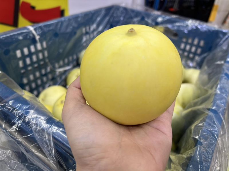 [營養滿滿]臺灣嘉義縣水上鄉美濃瓜 瓜