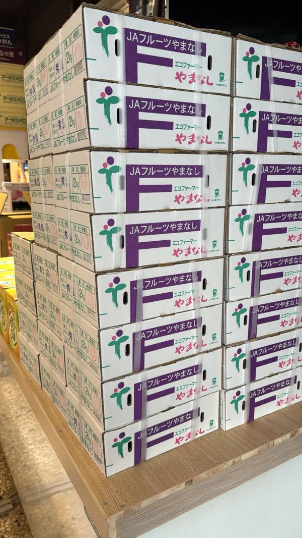 [Q彈水潤甘甜微酸][原裝箱]日本山梨F選別香檳珍珠葡萄 デラウェア 珍珠葡萄 德拉瓦葡萄 日本山梨F選別珍珠葡萄