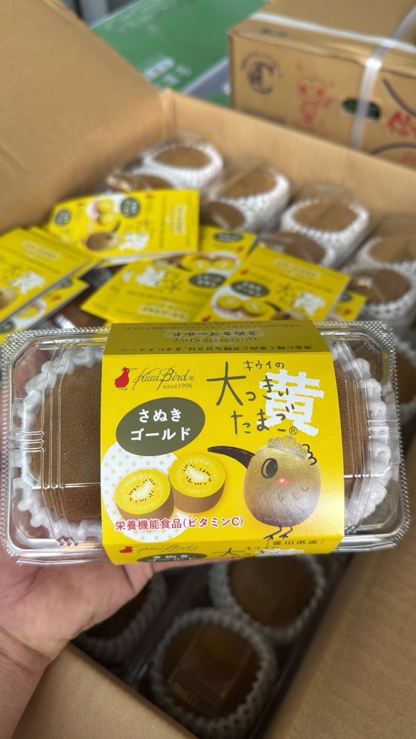 [質感厚實甘甜芳香]日本香川黃金奇異果 キウイの大っきいたまご 奇異鳥金奇異果 さぬきゴールド 日本香川黃金奇異果