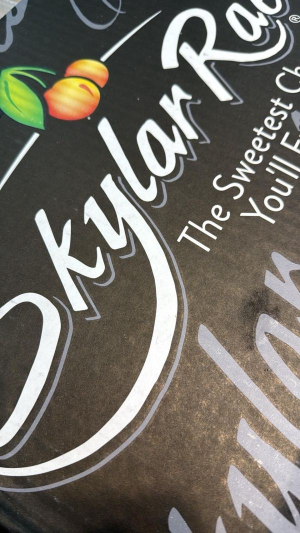 [甘甜濃郁][4kg原裝箱]美國華盛頓空運Skylar Rae草莓白櫻桃原裝箱 美國華盛頓空運北極熊櫻桃原裝箱