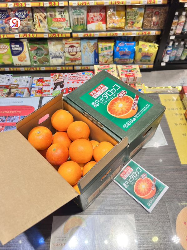 [琥珀色澤甘甜醇厚]日本愛媛真穴塔洛可血橙 タロッコ．ブラッド．オレンジ 愛媛蜜柑,日本蜜柑,日本小橘子,地中海血橙,Blood Orange