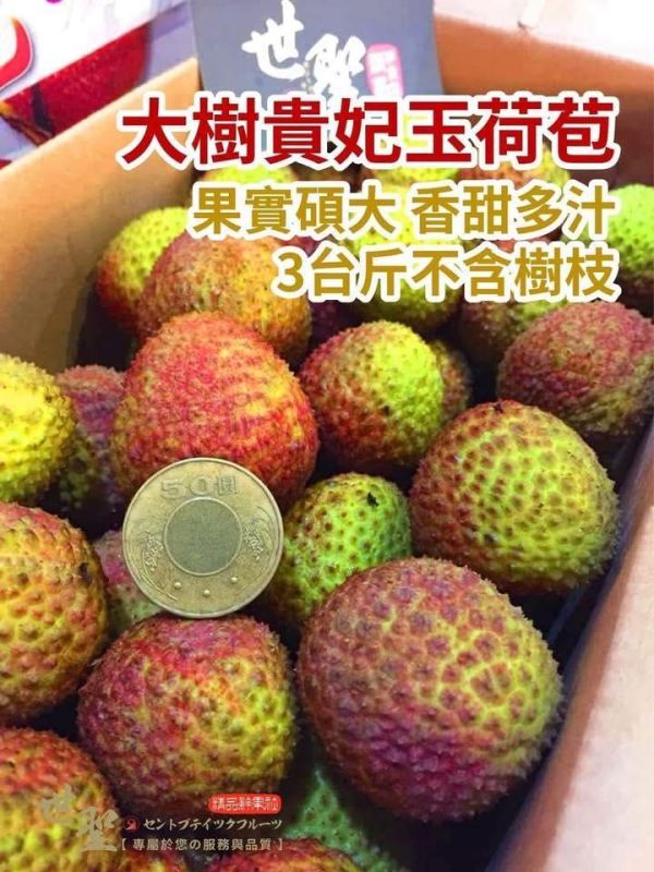 [香甜水潤][禮盒式]大樹貴妃玉荷苞 玉荷包 荔枝 大樹貴妃玉荷苞