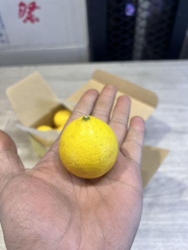 [清甜爽口檸檬香氣][禮盒式]日本鹿兒島貴婦人黃金柑 黄金柑 おうごんかん 鹿兒島黃金柑,貴婦人柑,貴夫人