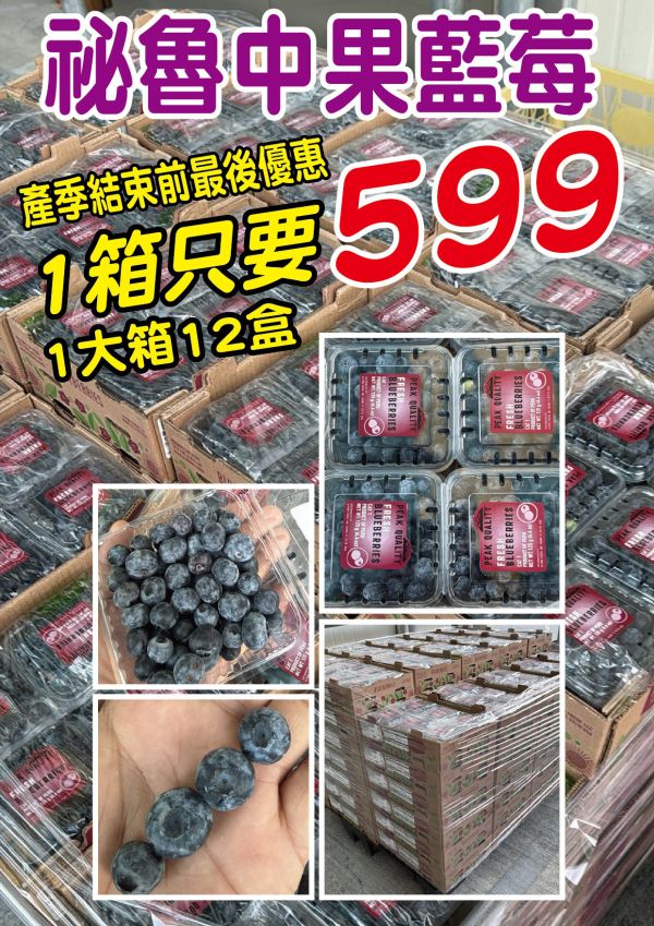 [甜酸均衡香氣佳]祕魯中果藍莓 Peru Blueberries 藍莓,祕魯中果藍莓,花青素