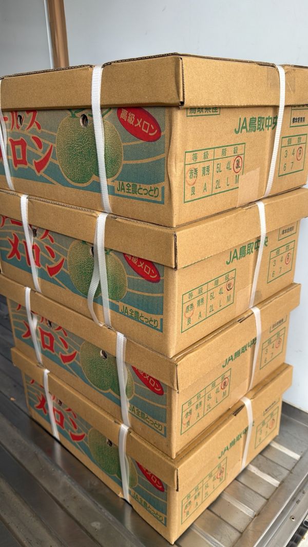 [經典健康美味]日本鳥取青肉哈密瓜 [經典健康美味]日本鳥取青肉哈密瓜