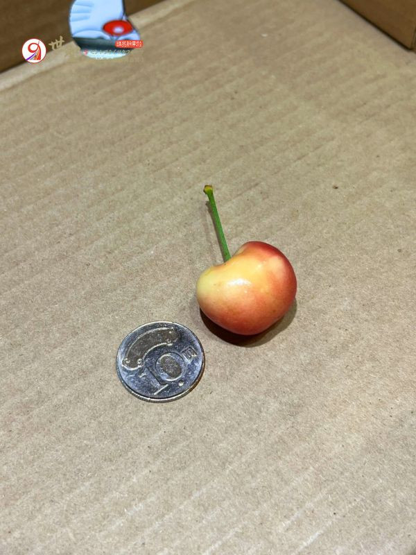 [脆甜清爽超人氣][品牌會更換]智利空運蕾妮爾白櫻桃整箱裝 Chile Rainier Cherries 智利櫻桃,空運櫻桃,紐西蘭櫻桃,塔斯馬尼亞櫻桃,紅櫻桃,白櫻桃