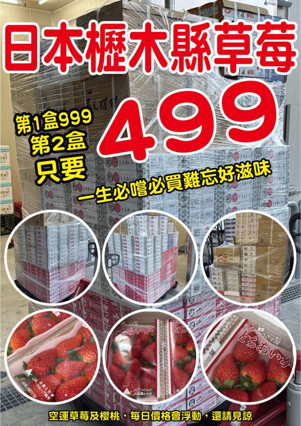 [甘甜香氣十足]日本櫪木櫪愛香草莓 とちあいか 栃木草莓 日本櫪愛香草莓