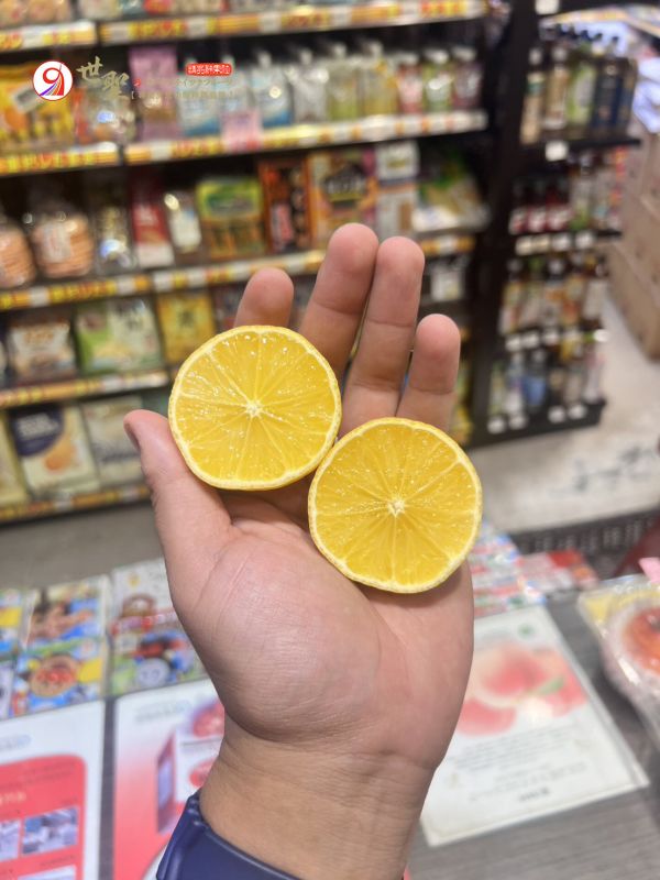 [清甜爽口檸檬香氣][禮盒式]日本鹿兒島貴婦人黃金柑 黄金柑 おうごんかん 鹿兒島黃金柑,貴婦人柑,貴夫人