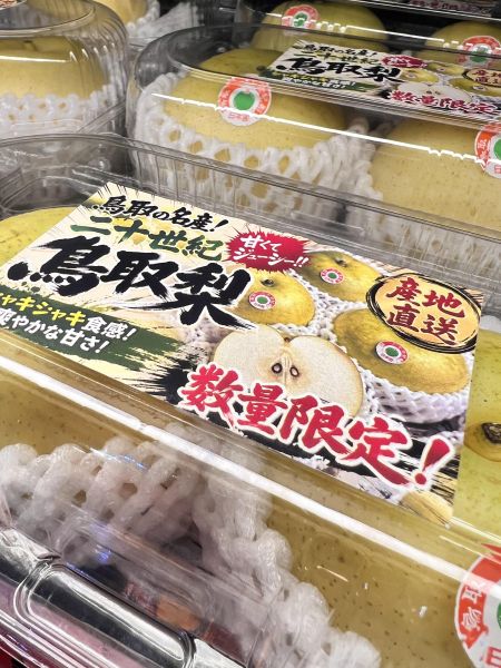 [連皮細緻清甜多汁][2入裝]日本鳥取二十世紀梨 鳥取梨 