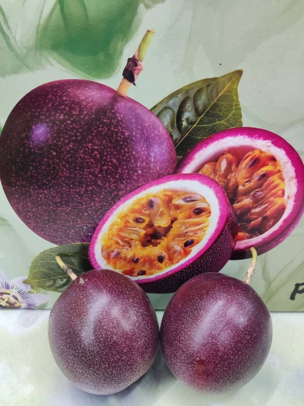 [經典風味][1袋5顆入]巨大經典口味百香果 [濃郁香甜新品種][1袋5顆入]巨大經典口味百香果