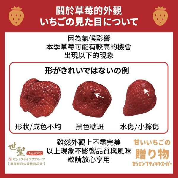 日本熊本草莓1盒2盤入 熊本産いちご ゆうべに 恋みのり ひのしずく 日本草莓,熊本草莓,いちご