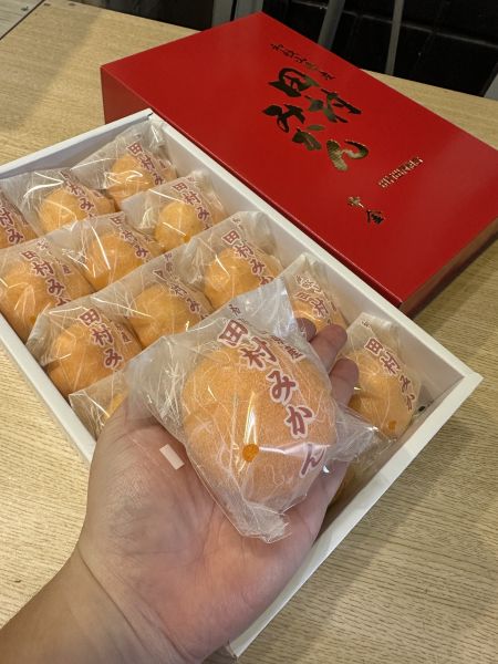 [甘甜多汁香氣十足][禮盒]日本和歌山冠軍紅田村蜜柑禮盒 日本和歌山冠軍紅田村蜜柑禮盒