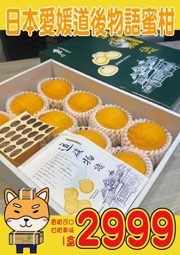 [厚實多汁香甜濃郁]日本愛媛道後物語凸頂柑 デコポン 不知火柑 愛媛蜜柑,日本蜜柑,日本小橘子,凸頂柑,醜柑,不知火柑