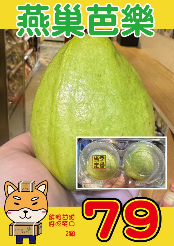 [鮮脆爽口]燕巢芭樂 燕巢芭樂