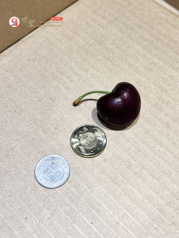 [甜酸濃郁超人氣][原箱2.5kg]美國華盛頓空運櫻桃 US-WA Cherries 西北櫻桃 加州櫻桃,華盛頓櫻桃,美國櫻桃,西北櫻桃