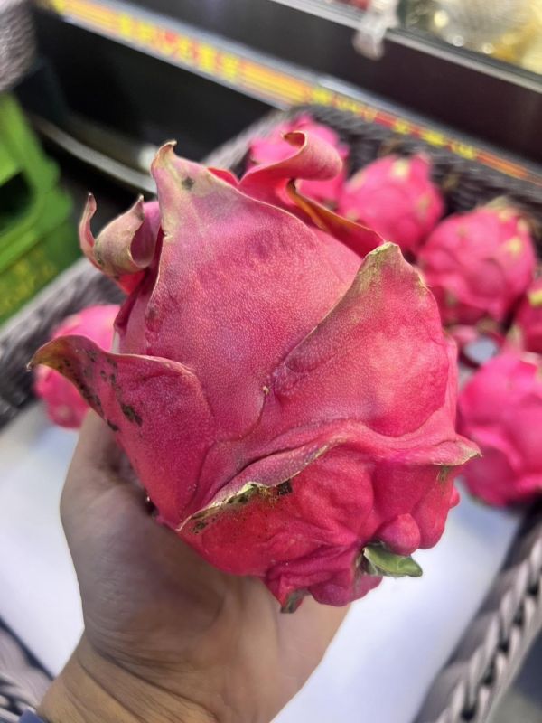 [抗氧化低熱量]屏東高樹紅肉火龍果 紅火龍果 嘉義極光哈密瓜