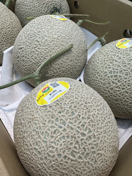 [香甜可口]熊本青肉哈密瓜 熊本青肉哈密瓜