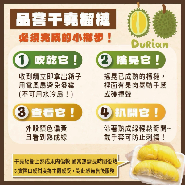 [水國之王甘甜可口]越南干堯榴槤 越南干堯榴槤