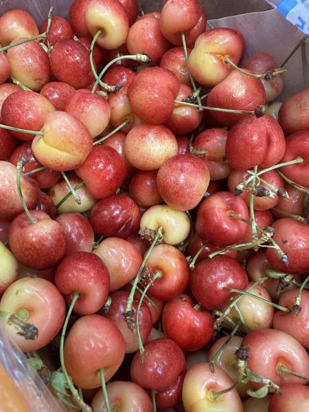 [脆甜清爽超人氣]智利空運蕾妮爾白櫻桃500g Chile Rainier Cherries 智利櫻桃,空運櫻桃,紐西蘭櫻桃,塔斯馬尼亞櫻桃,紅櫻桃,白櫻桃