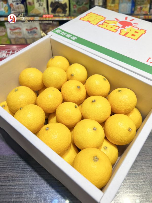 [清甜爽口檸檬香氣][整箱裝]日本高知黃金柑 黄金柑 おうごんかん 鹿兒島黃金柑,貴婦人柑,貴夫人,高知黃金柑