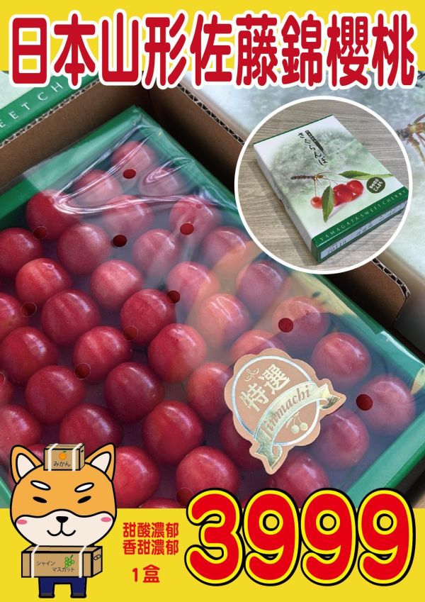 [日本頂級甘甜濃郁]日本山形佐藤錦櫻桃 日本山形佐藤錦櫻桃