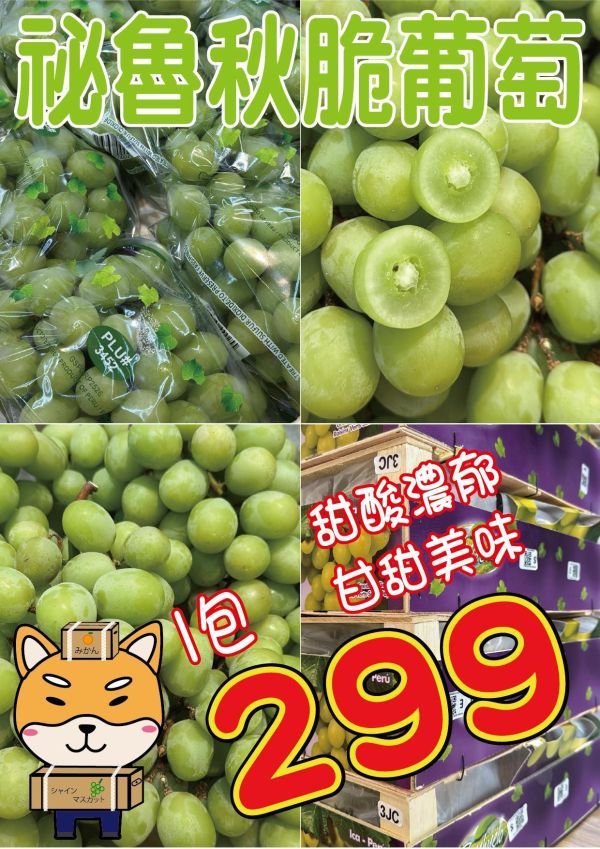 [清爽甘甜香氣特別]祕魯秋脆綠無籽葡萄 AutumnCrisp 智利秋脆,秋脆葡萄,綠無籽葡萄