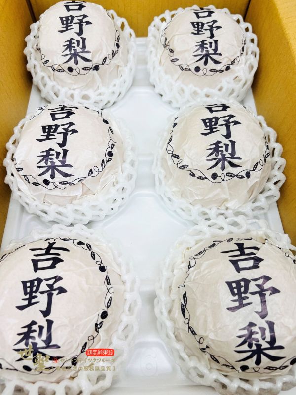 [經典健康美味]日本熊本吉野梨 [經典健康美味]日本熊本吉野梨