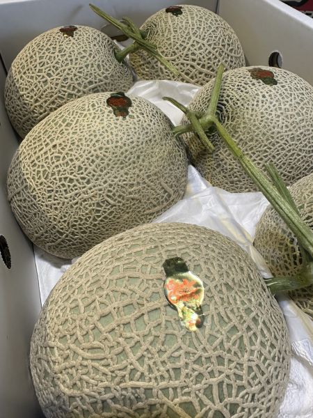 [香甜可口]日本長崎赤肉哈密瓜 日本長崎赤肉哈密瓜