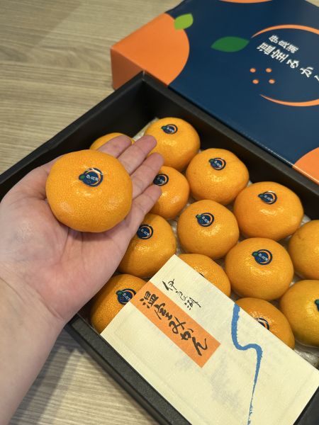 [無籽皮薄香甜多汁]日本愛知縣伊良湖溫室蜜柑 日本愛知縣伊良湖溫室蜜柑
