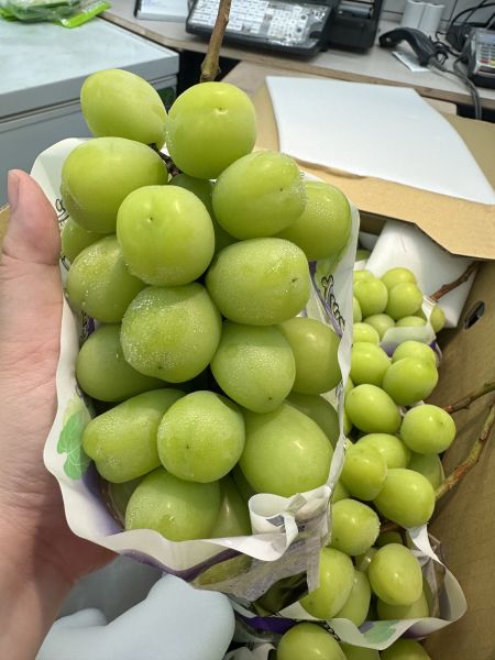 [甘甜濃郁多汁]日本山梨F選別麝香葡萄 [甘甜濃郁多汁]日本山梨F選別麝香葡萄