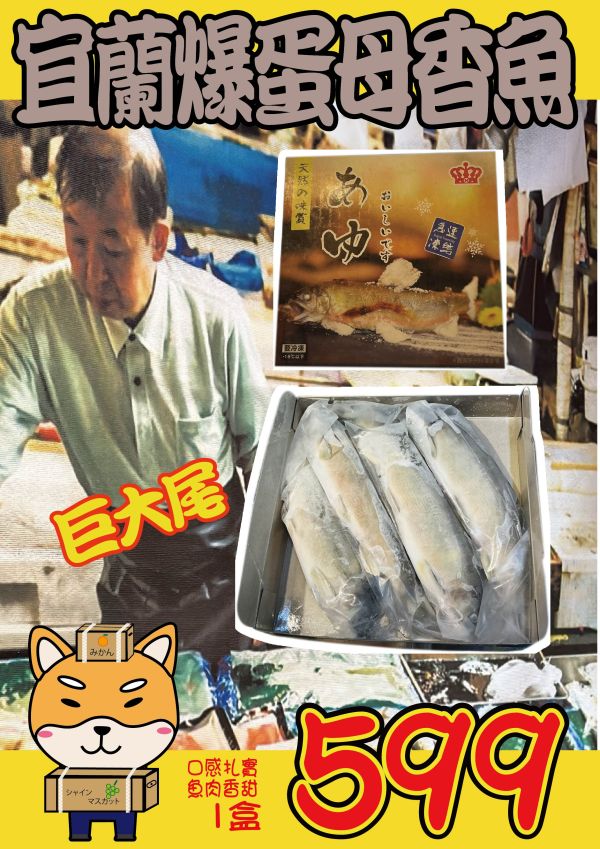 [煎烤都美味]特選宜蘭爆卵母香魚950g 爆卵母香魚,母香魚,宜蘭香魚