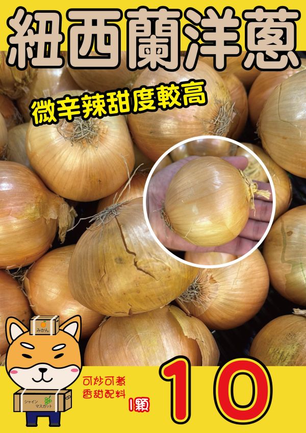 紐西蘭洋蔥 紐西蘭洋蔥