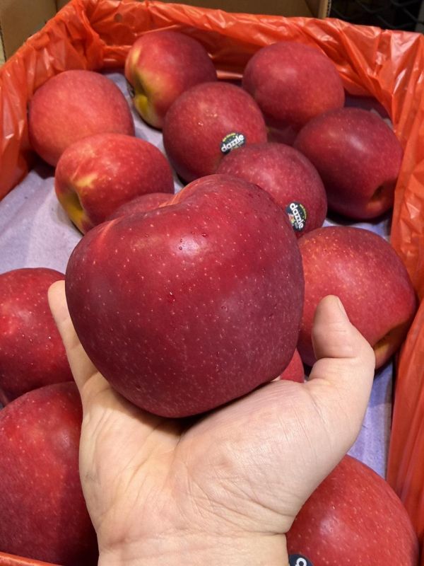 [清爽甘甜好吃]紐西蘭炫麗蘋果 紐西蘭炫麗蘋果