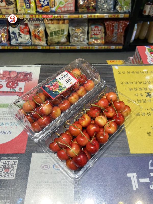 [甘甜濃郁][500g嚐鮮盒]美國華盛頓空運Skylar Rae草莓白櫻桃 美國華盛頓空運北極熊櫻桃原裝箱