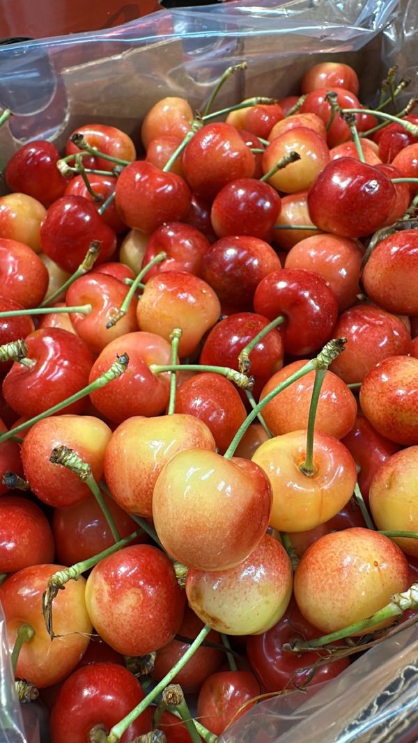 [甜酸濃郁]智利空運SKYLAR RAE草莓白櫻桃 智利空運SKYLAR RAE草莓白櫻桃