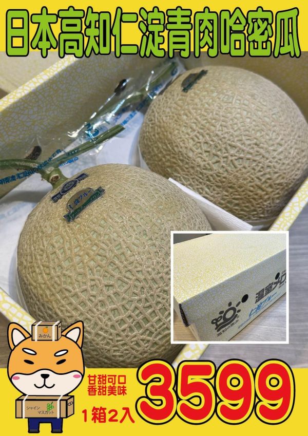 [香甜可口]日本高知仁淀清肉哈密瓜 日本高知仁淀清肉哈密瓜