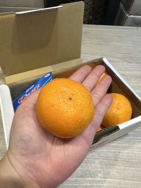 [甘甜香氣十足]日本西海蜜柑 日本西海蜜柑