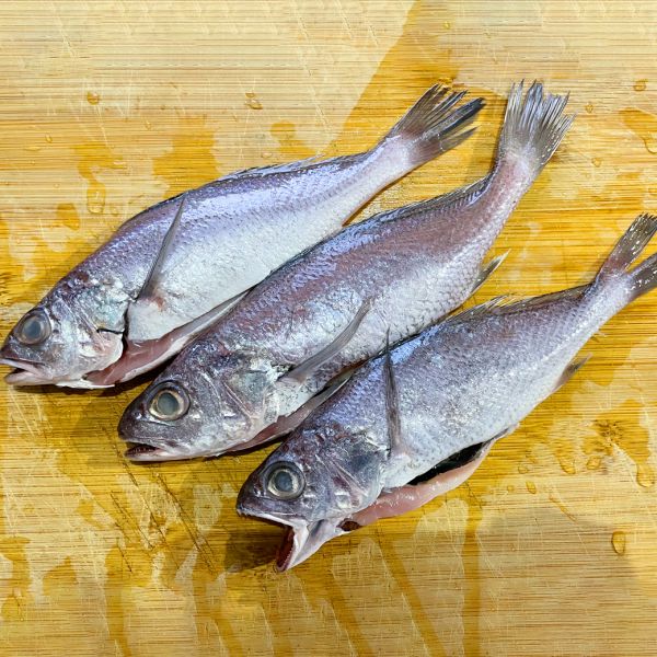 冰鮮 黑喉 