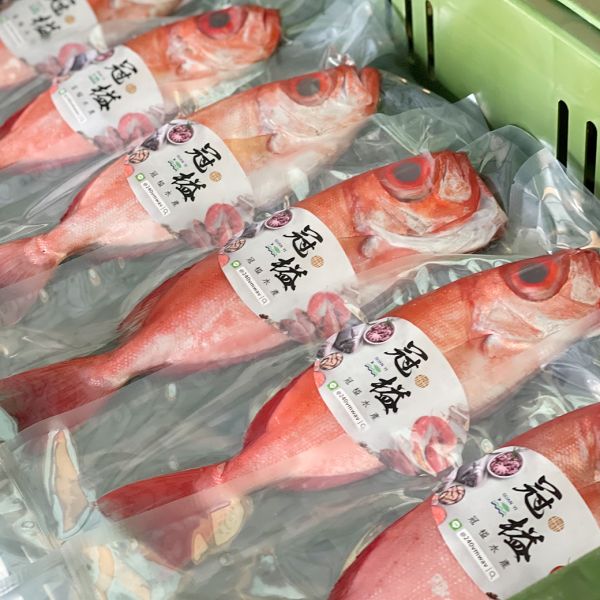 冰鮮 紅目鰱 