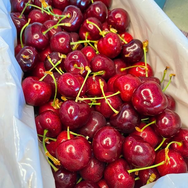 大嘴巴櫻桃  28mm 