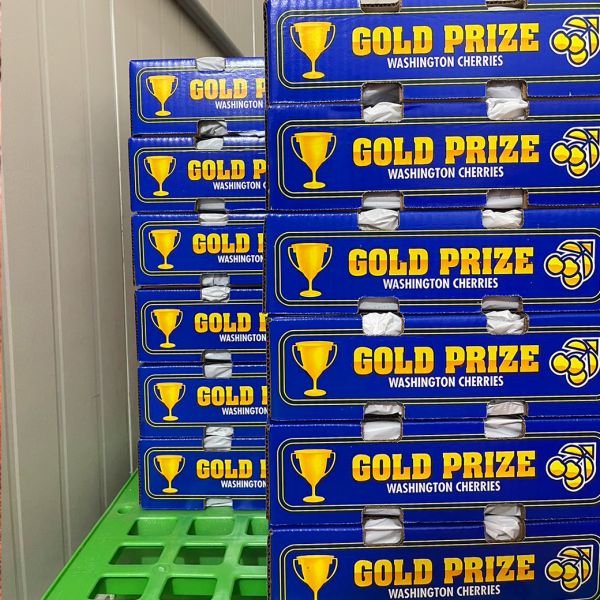 美國-金盃櫻桃8.5R 