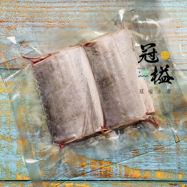 現流 手釣白帶魚 