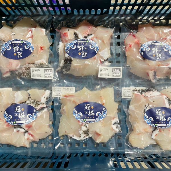 龍膽石斑魚丁 